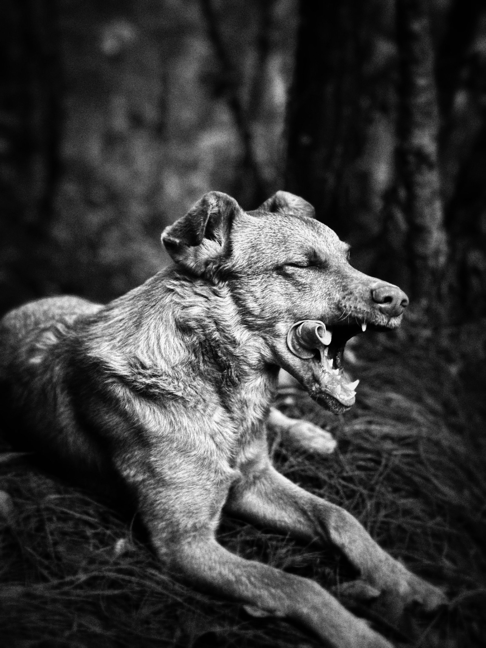 Photograph by Meghna Rickabaugh Rich — Guatemala