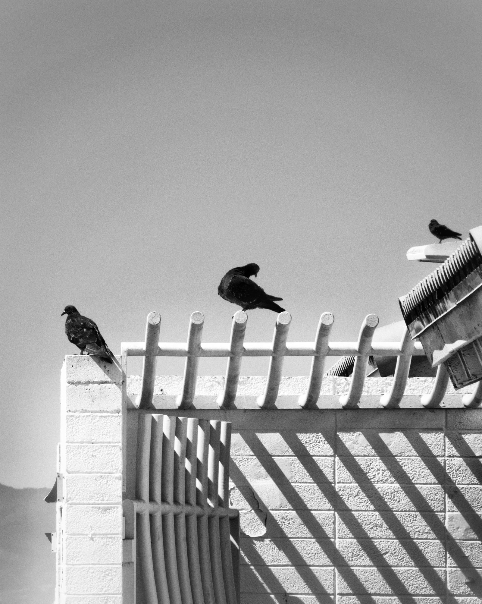 Photograph by Meghna Rickabaugh Rich — Manhattan Beach