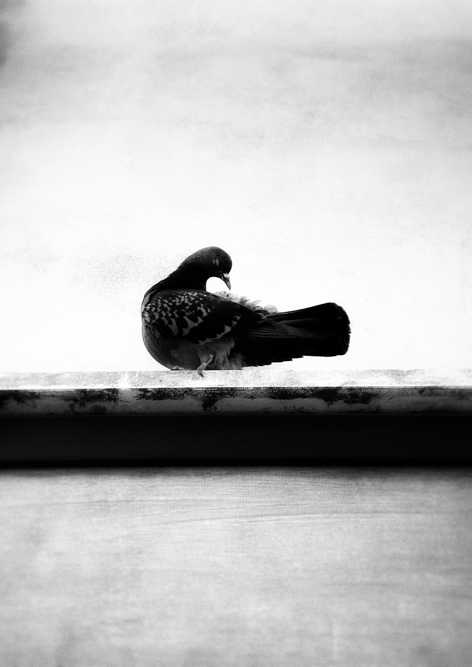 Photograph by Meghna Rickabaugh Rich — Venice